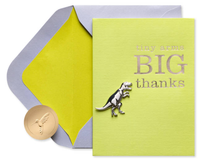 Tiny Arms Trex Funny Thank You Greeting Card