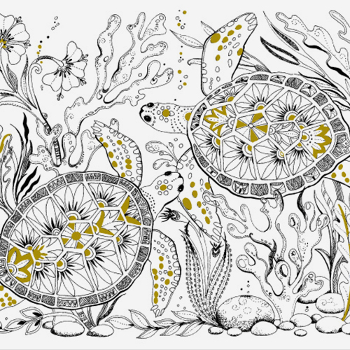 turtle coloring page