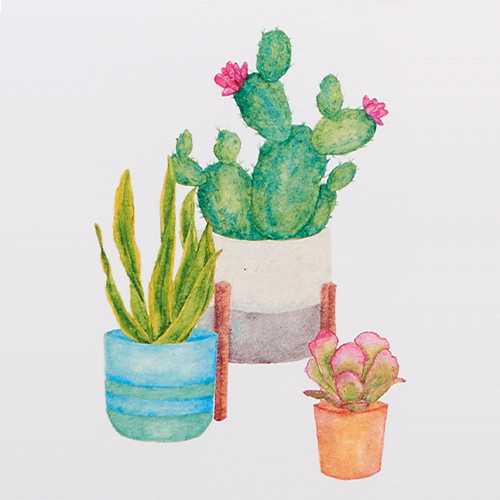 Cactus Wallpaper