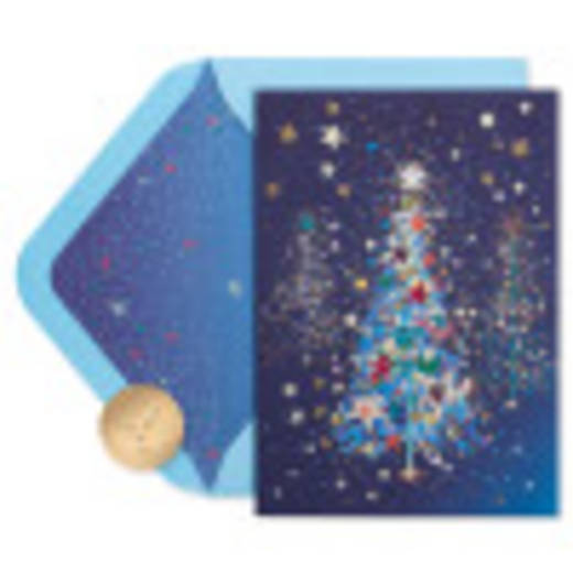 Splendor and Joy of the Season Christmas Greeting Card