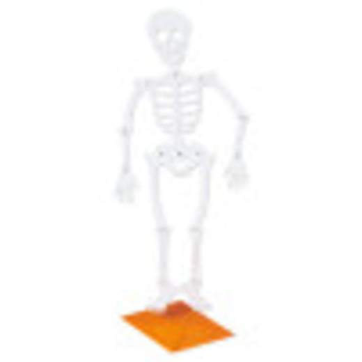 Skeleton Halloween Greeting Card