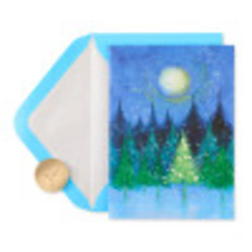 Best of the Season Holiday Boxed Cards - Glitter-Free, 14-Count