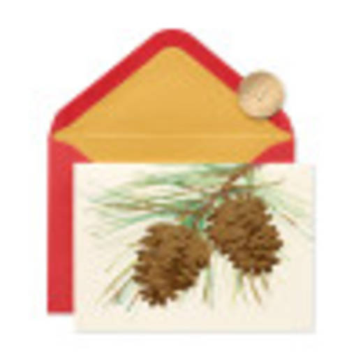Wonderful Year to Come Holiday Boxed Cards, 14-Count